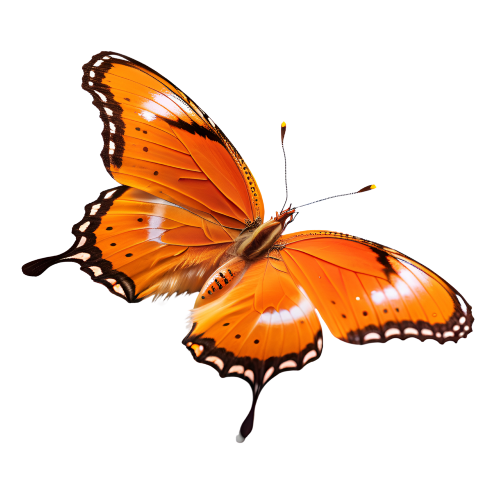 Beautiful Orange Butterfly Isolated on a Transparent Background. AI Generative png