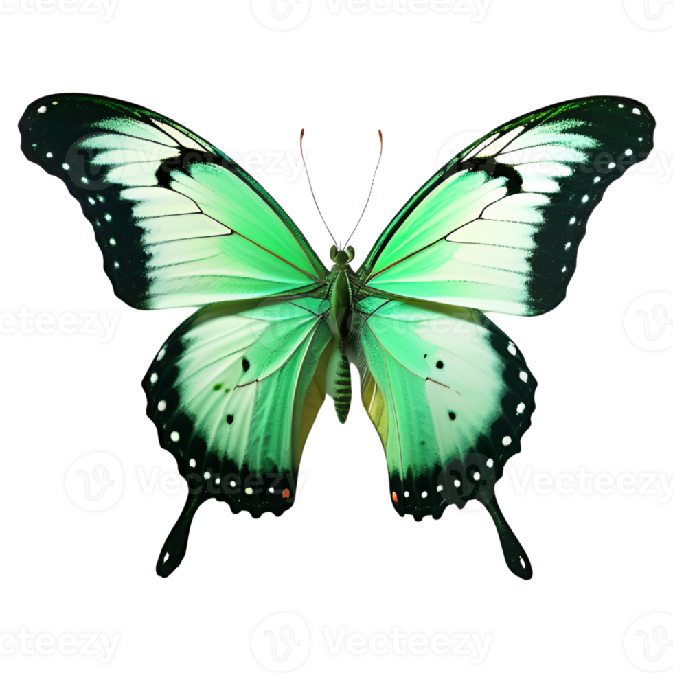Beautiful Green Butterfly Isolated on a Transparent Background. AI Generative png