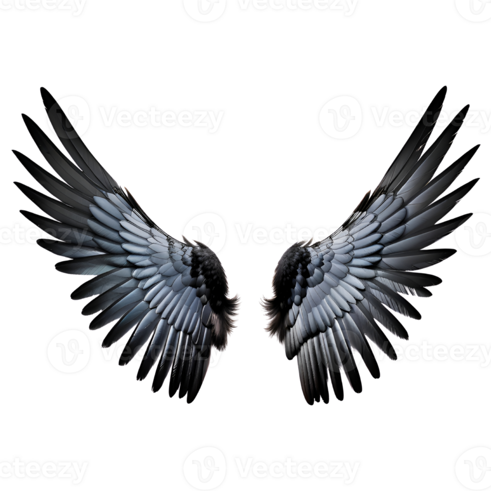 Black Wings Isolated on Transparent Background. AI Generative png