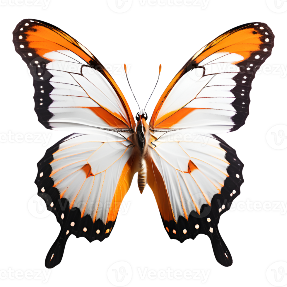 Beautiful Butterfly Isolated on a Transparent Background. AI Generative png