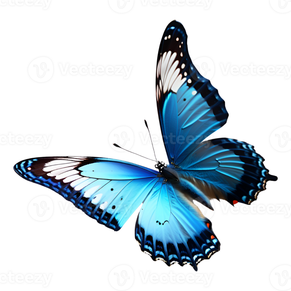 Beautiful Blue Butterfly Isolated on a Transparent Background. AI