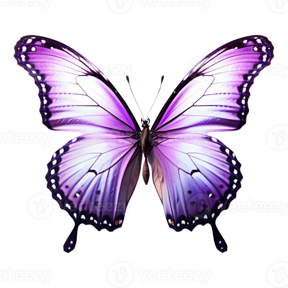 Beautiful Purple Butterfly Isolated on a Transparent Background. AI Generative png