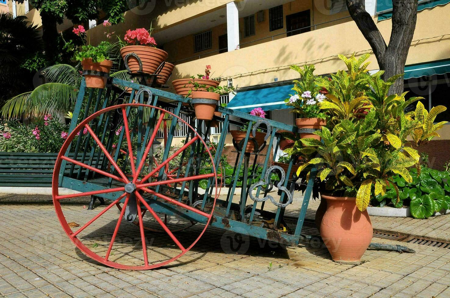 A cart with flowers photo