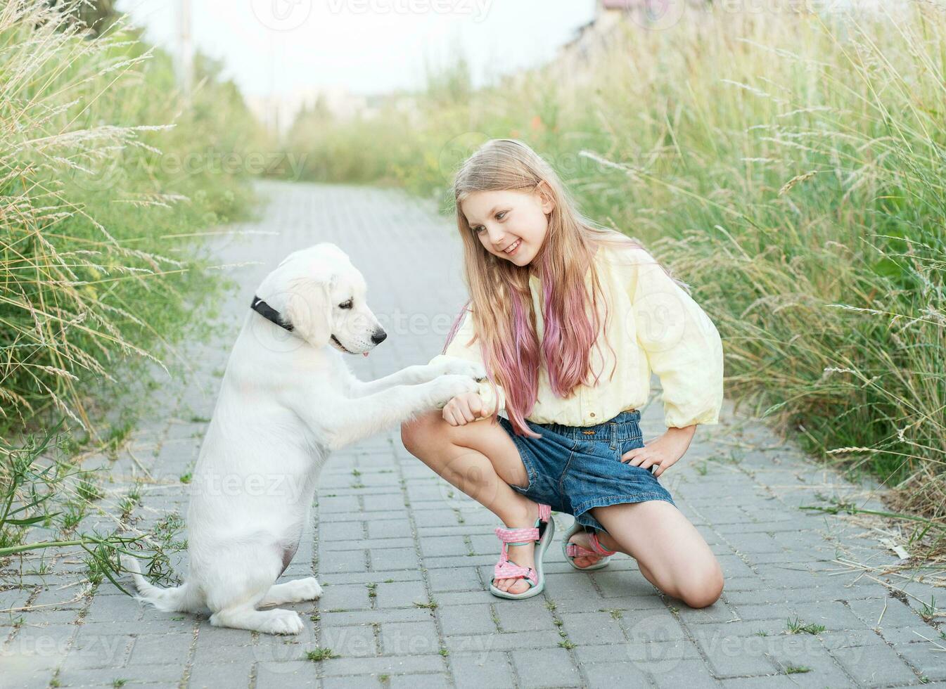 Puppy labrador retriever and little girl photo