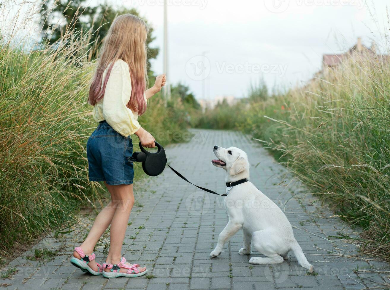 Puppy labrador retriever and little girl photo