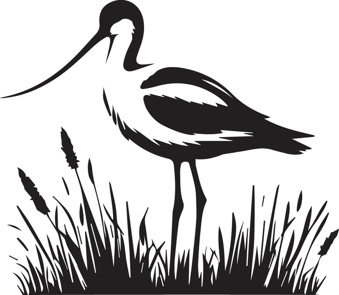 Avocet Bird Vector silhouette illustration black color
