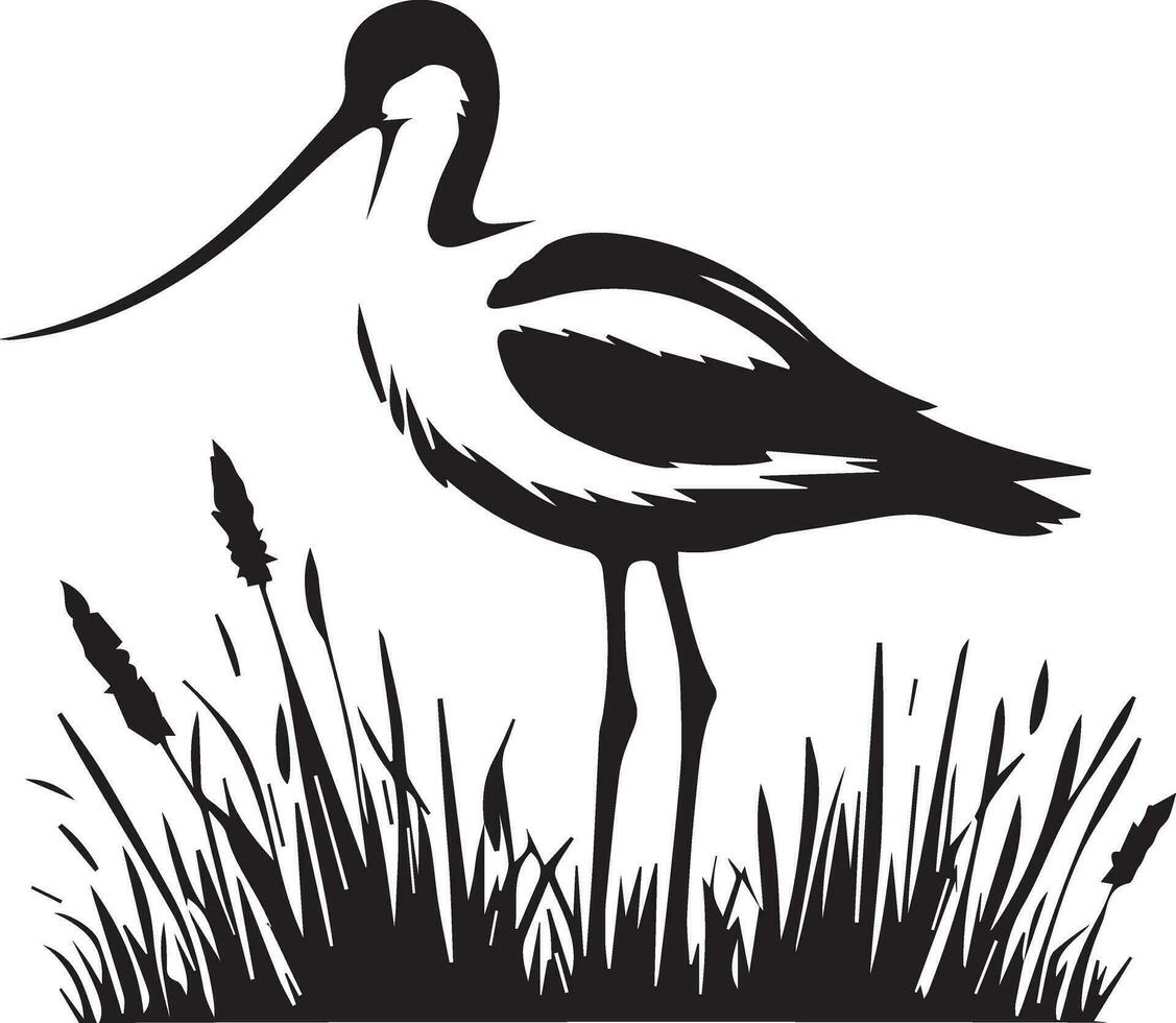 avoceta pájaro vector silueta ilustración negro color