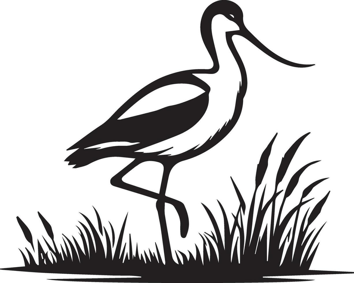 avoceta pájaro vector silueta ilustración negro color