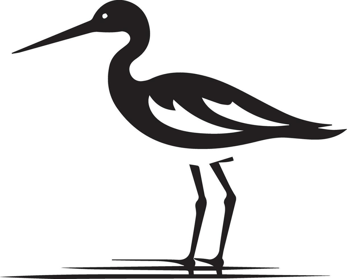 avoceta pájaro vector silueta ilustración negro color