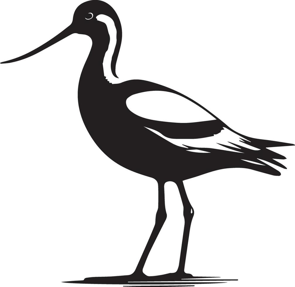 Avocet Bird Vector silhouette illustration black color