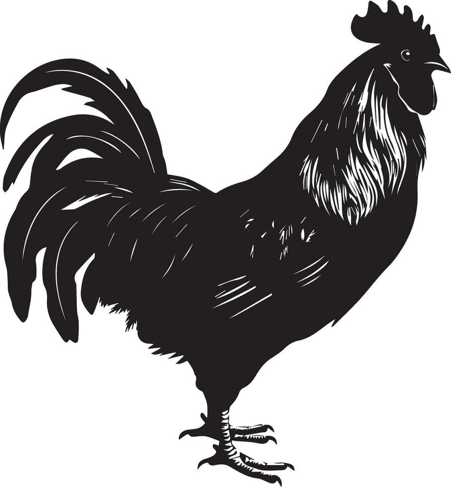 australorp pollo vector silueta ilustración negro color 14