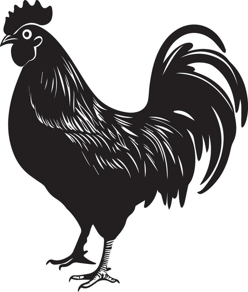 Australorp Chicken vector silhouette illustration black color 9