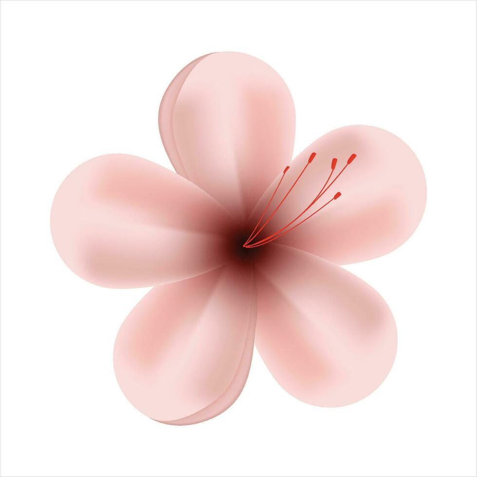 Vector spring red flowers on white background 33875205 Vector Art at Vecteezy