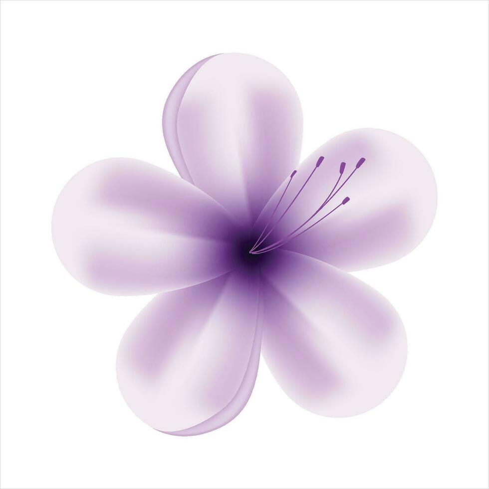 Vector spring purple flowers on white background