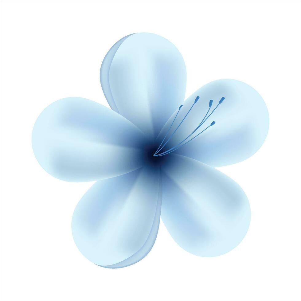 Vector spring blue flowers on white background