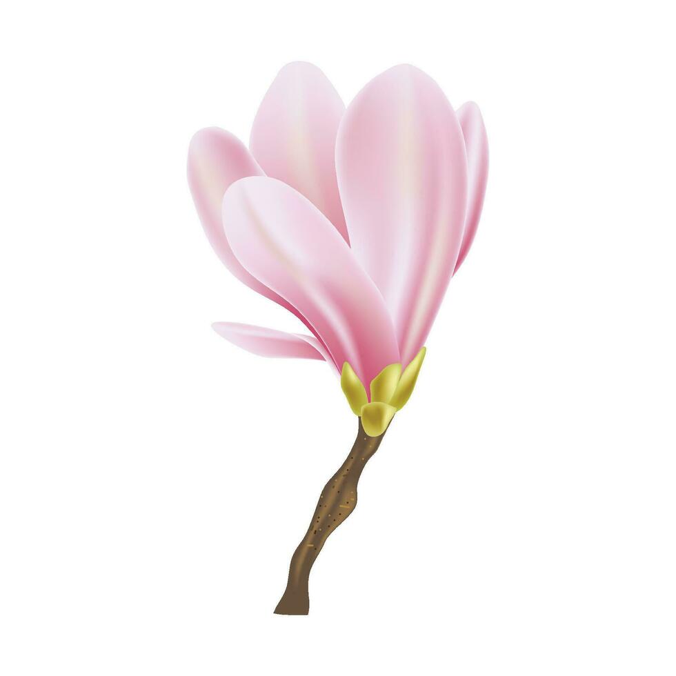 Vector spring background with blossom brunch of pink flowers
