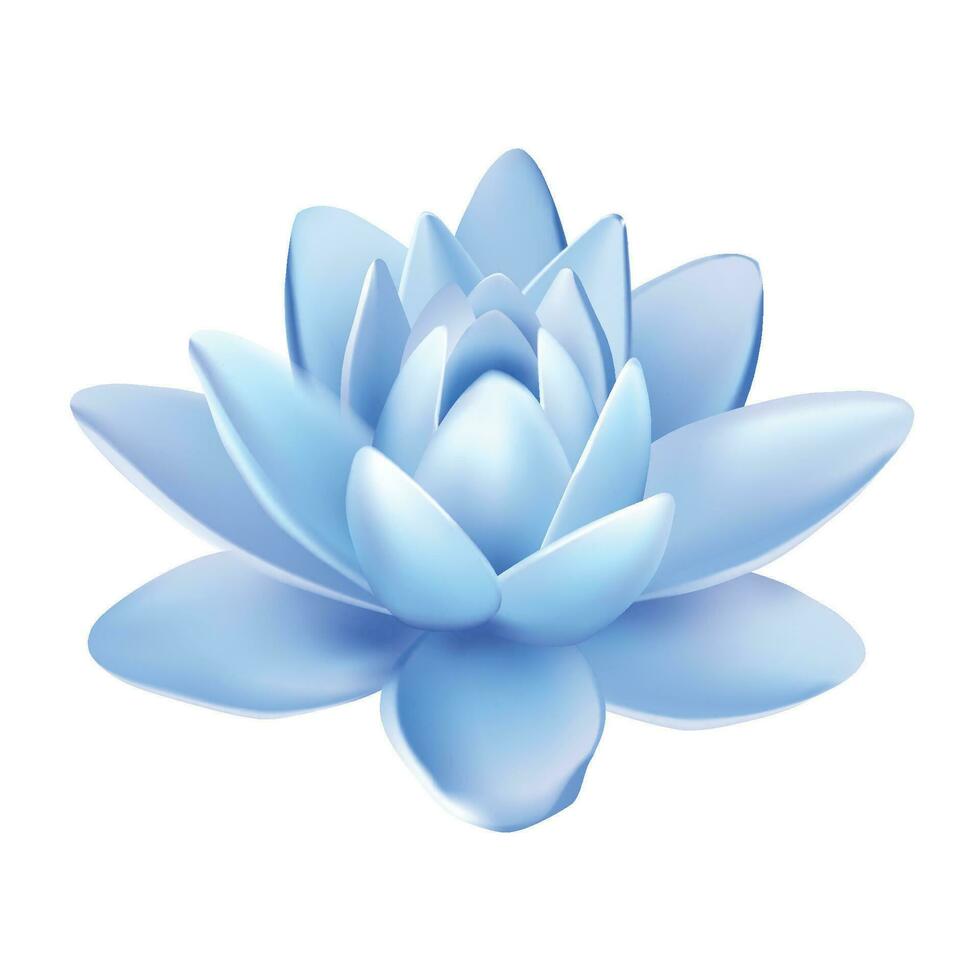 Vector isolated flower of lotus with light blue petals with reflection on white background 3d vector illustration