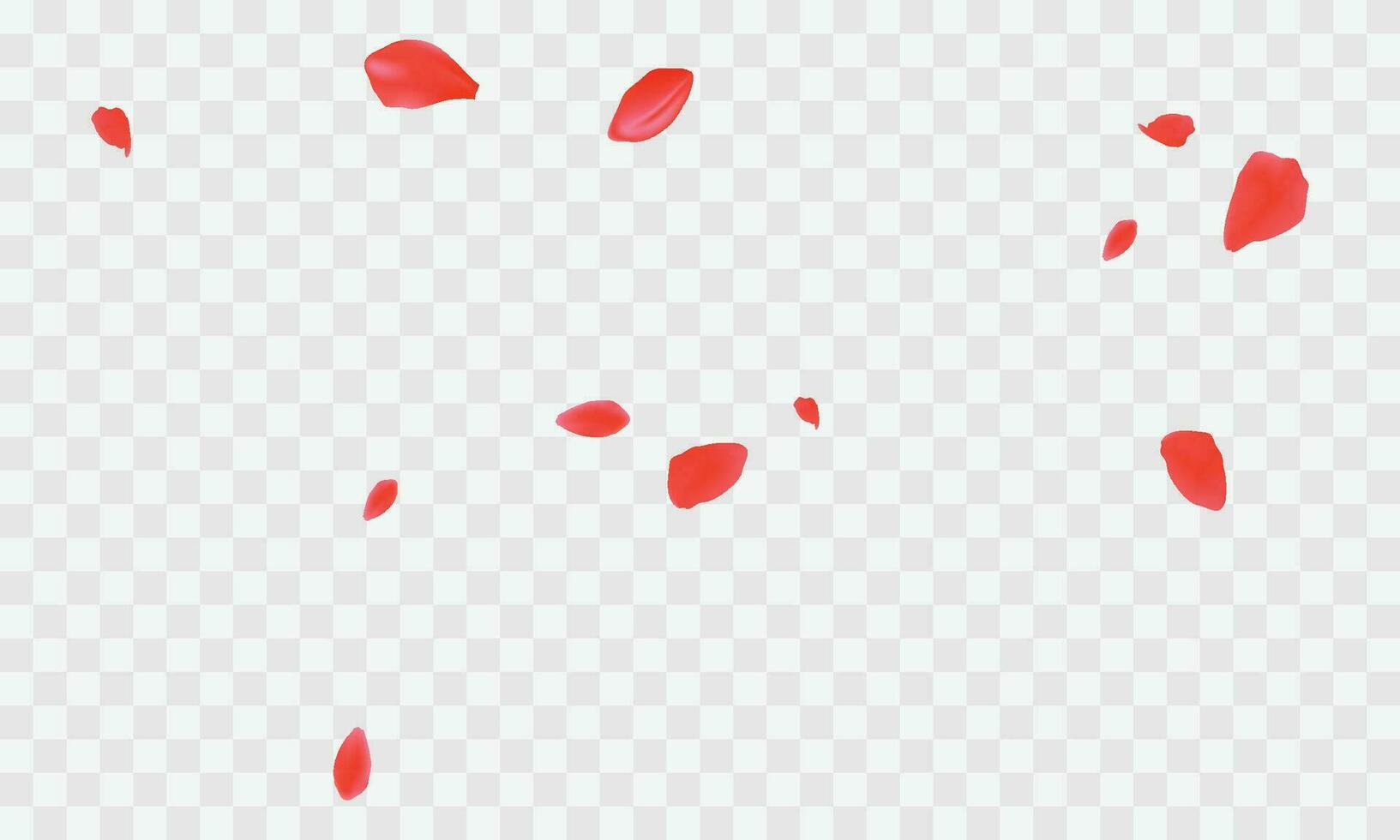 Vector red rose petals will fall on abstract floral background with gorgeous rose petal greeting card design