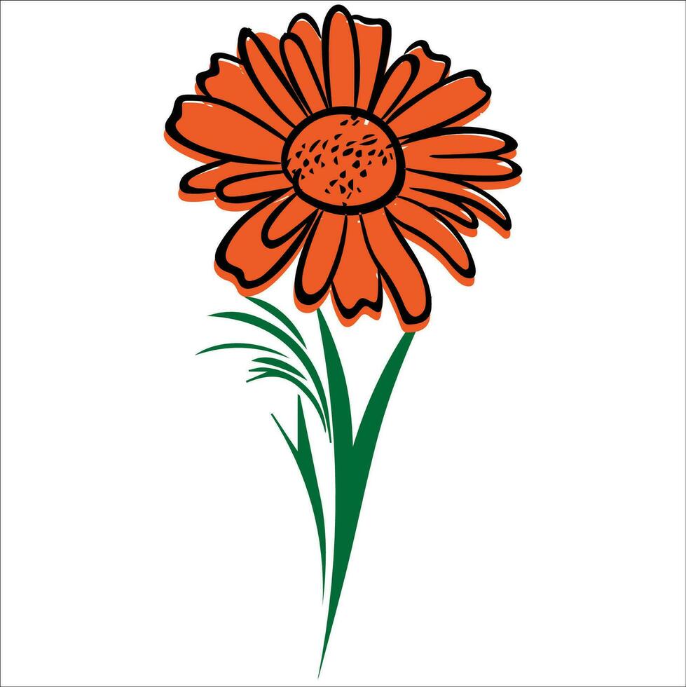 caléndula flor naranja flor aislado flor aislado naranja flor vector
