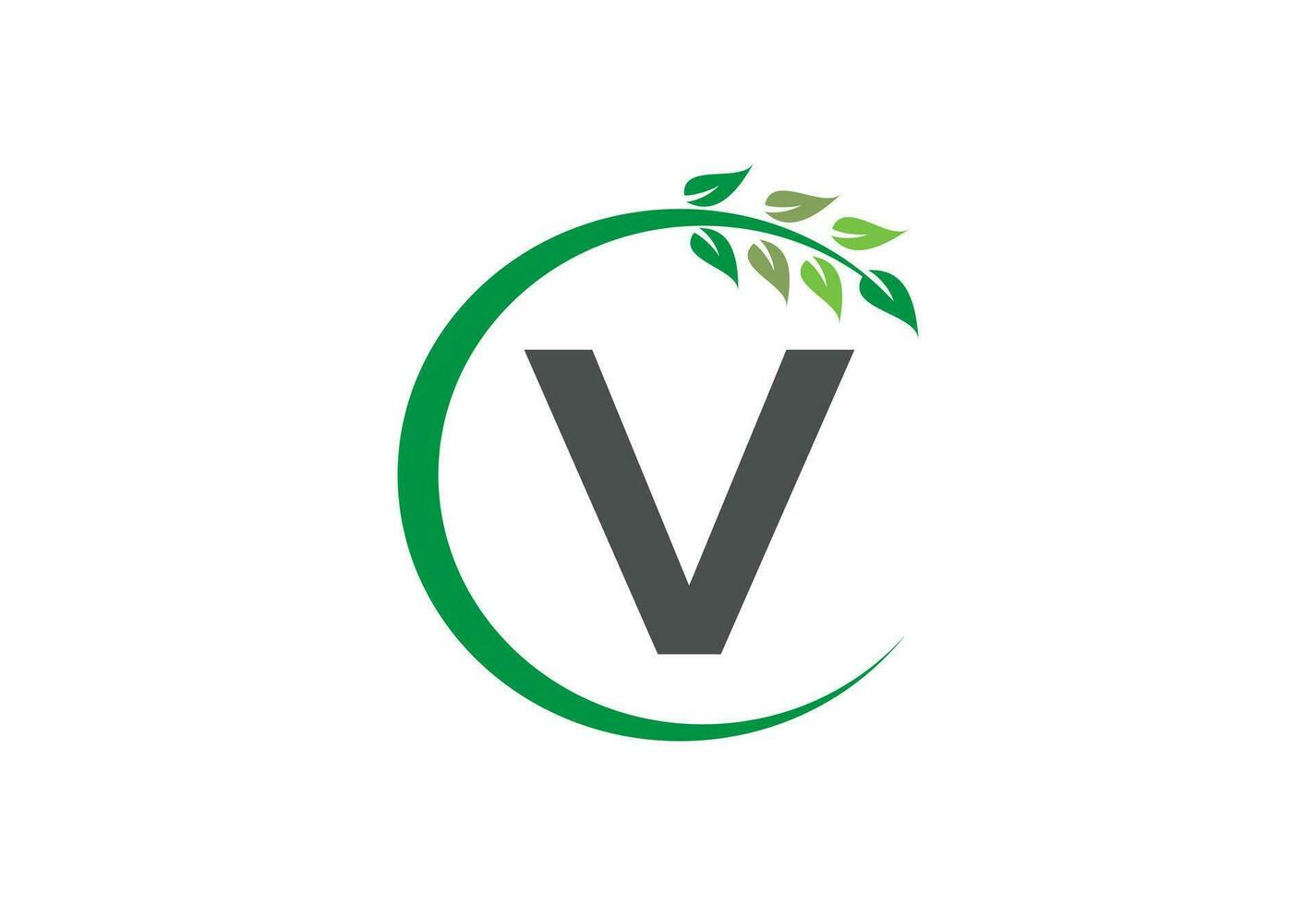 letra v hoja crecimiento logo icono diseño símbolo vector