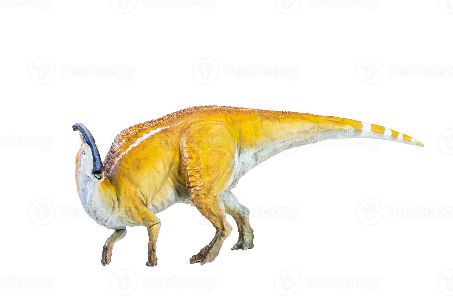 Parasaurolophus  dinosaur isolated background photo