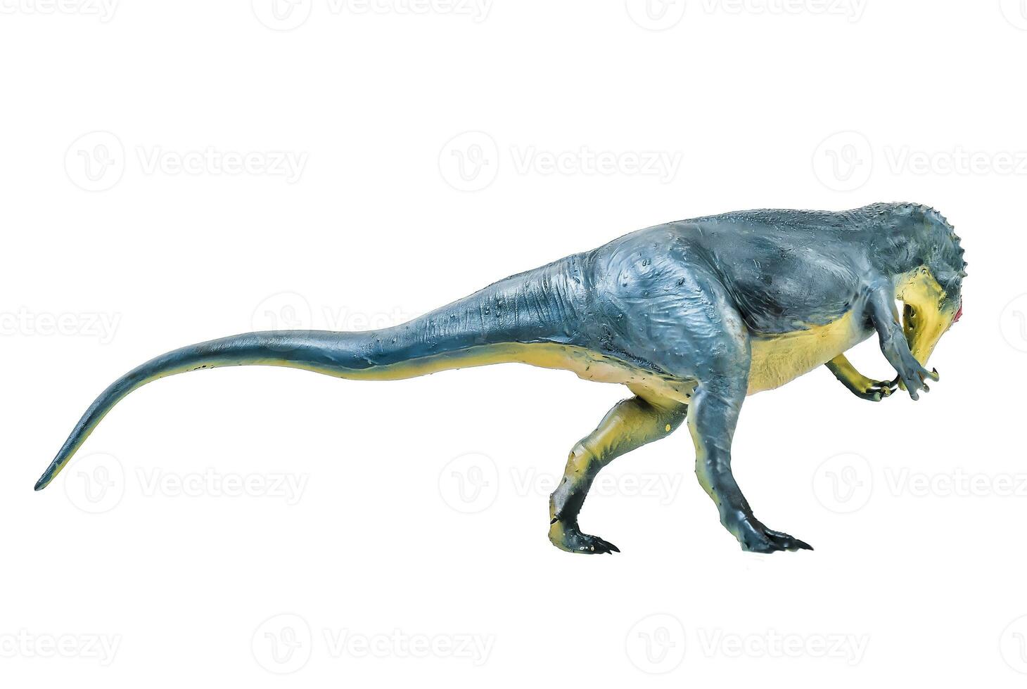 Allosaurus   dinosaur isolated background photo