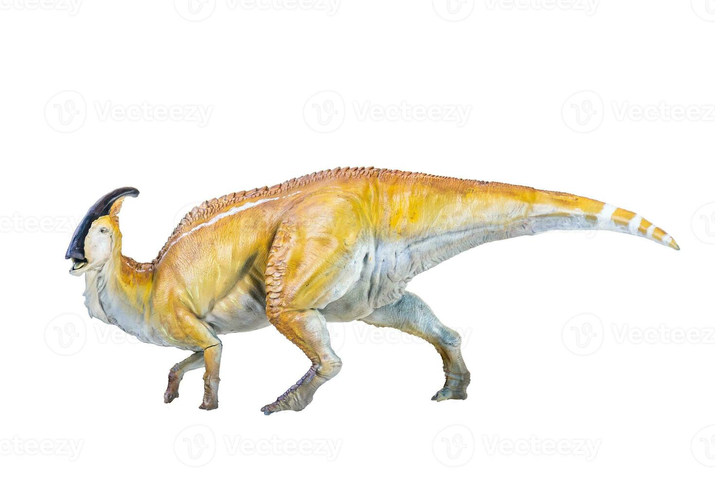 parasaurolophus dinosaurio aislado antecedentes foto