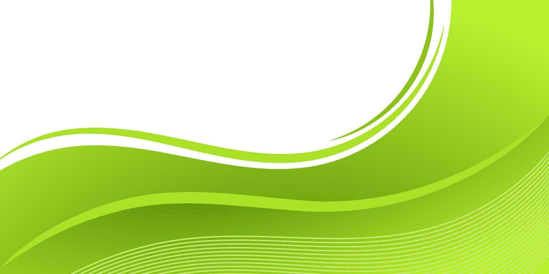 abstract elegant green curve background for business vector