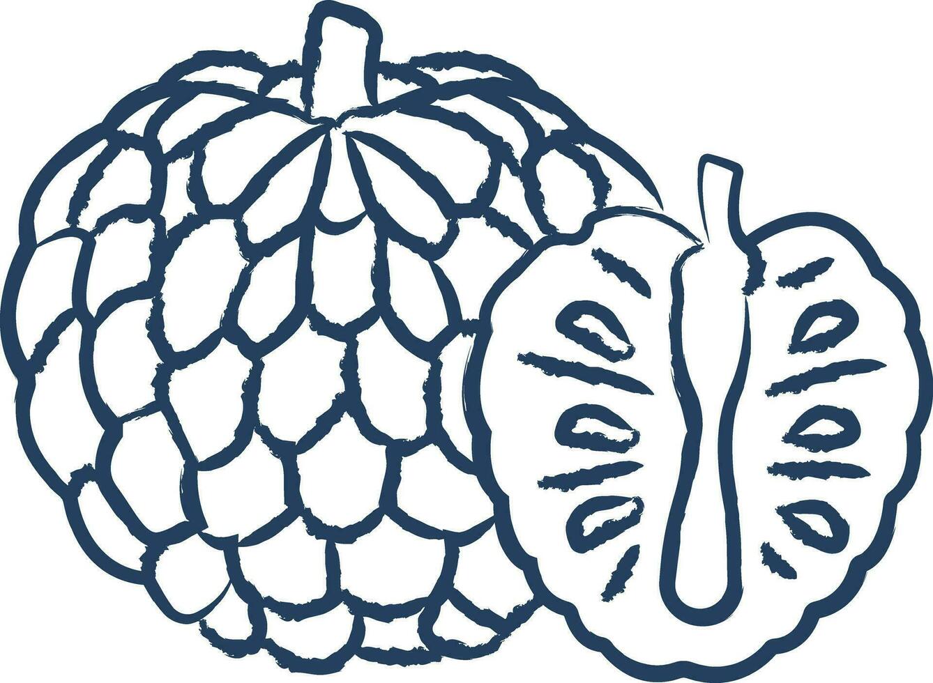 Custard apple cut hand drawn vector illustration