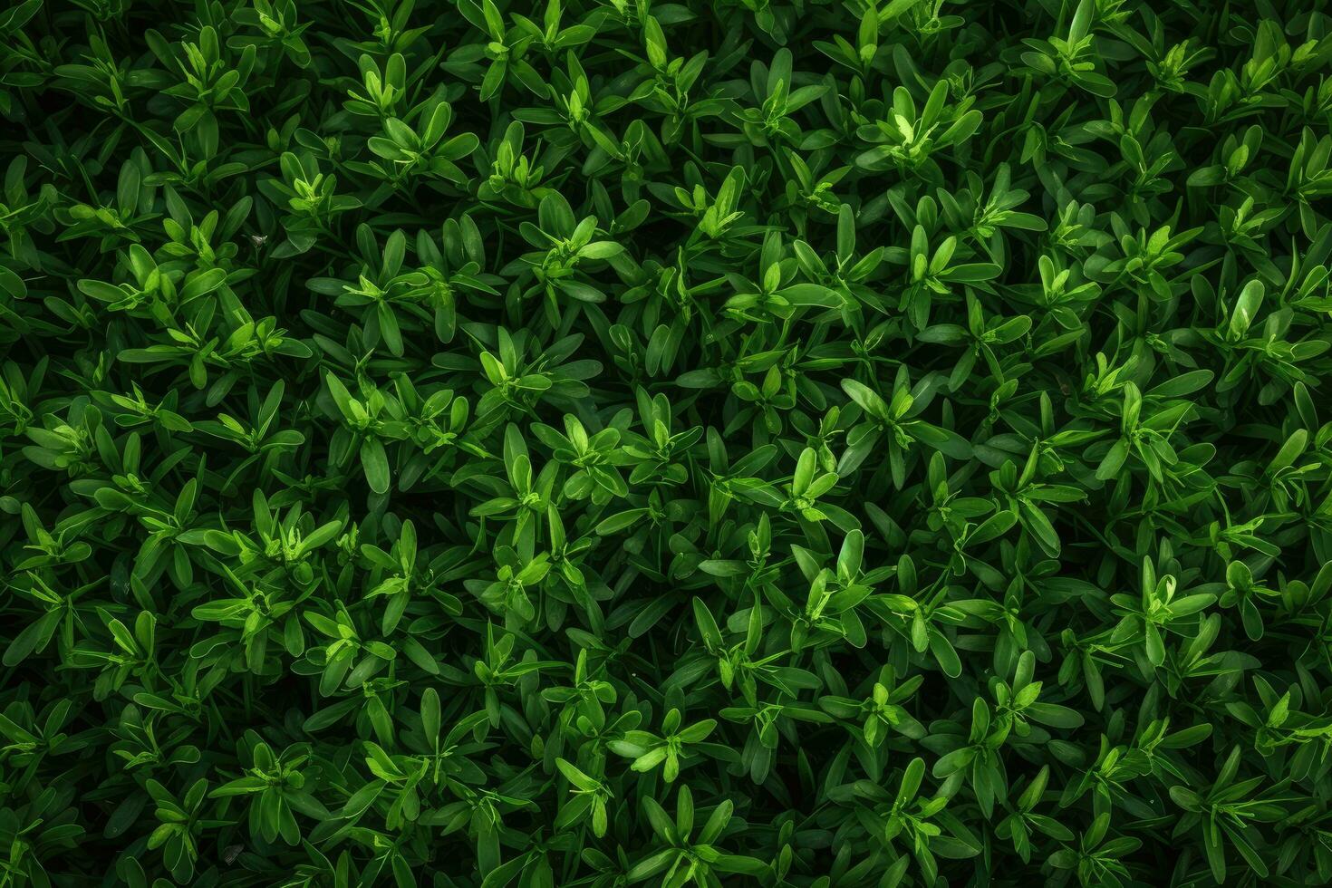 Green leaves background. Top view of fresh green leaves texture. Natural green leaves background, directly above shot of fresh green grass or lawn, AI Generated photo