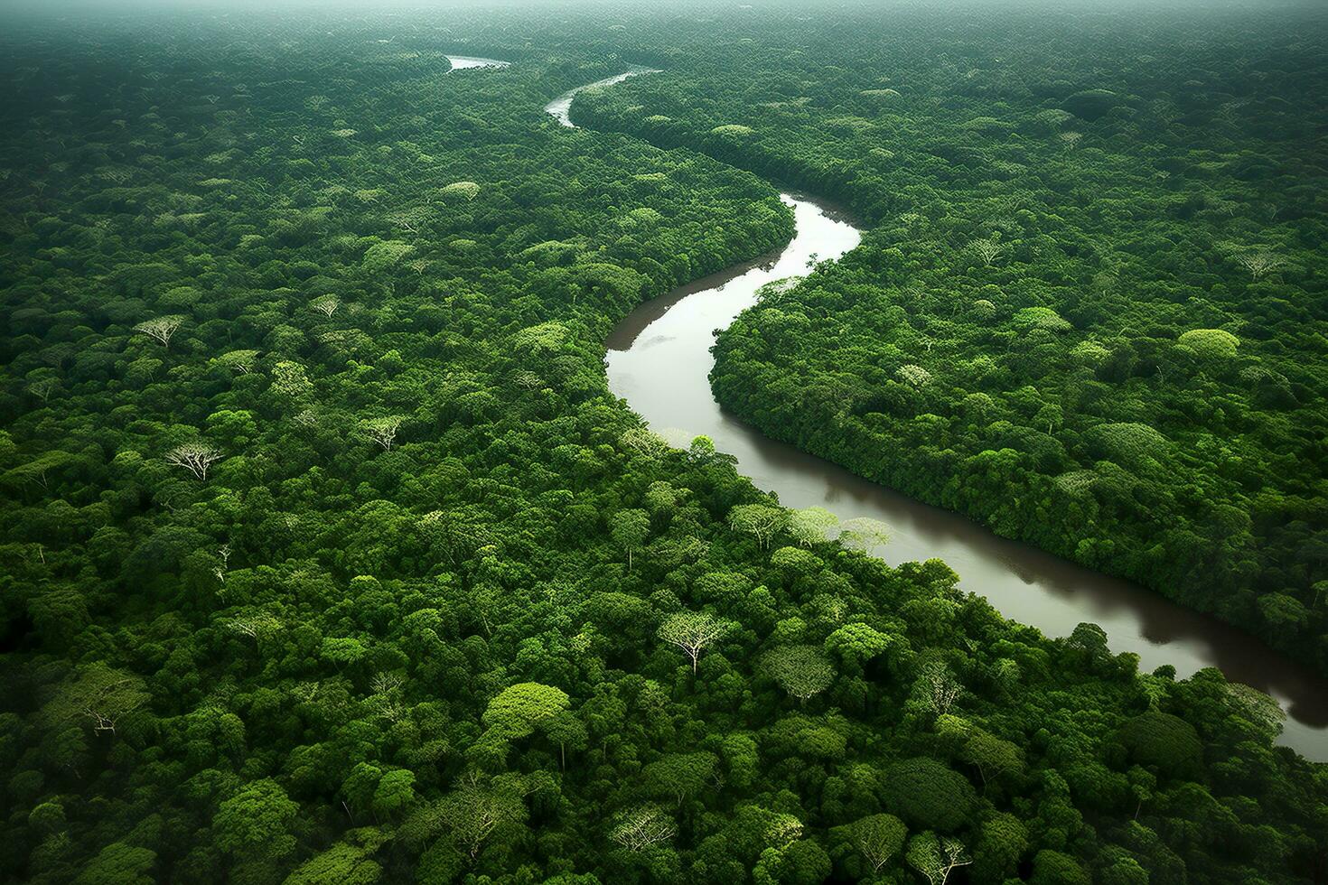 aéreo ver de el amazonas selva paisaje con río doblar. generativo ai foto