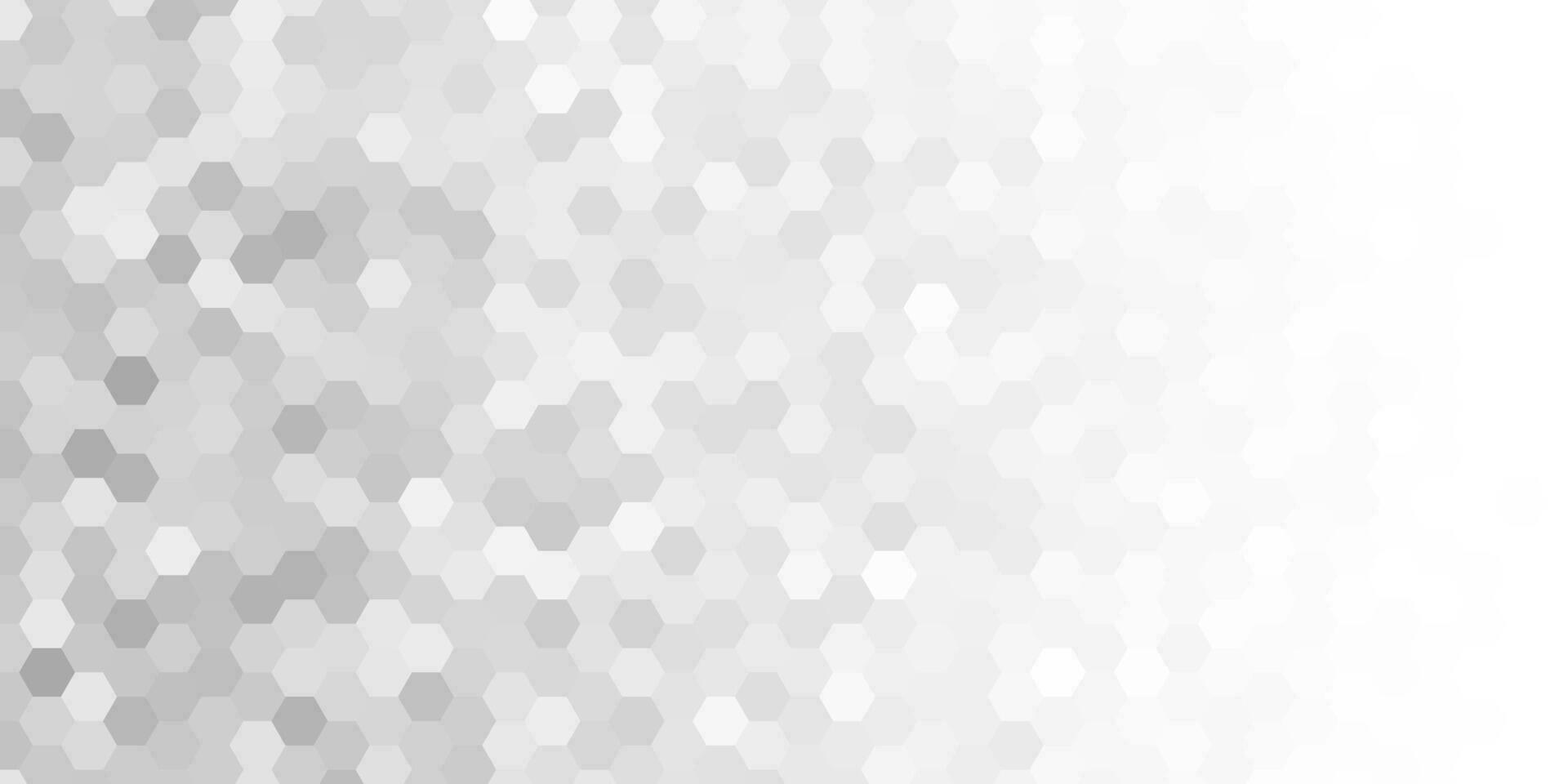 abstract grey white modern background with hexagons vector