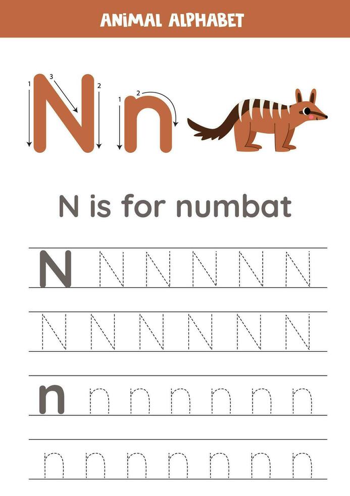 Tracing alphabet letters for kids. Animal alphabet. N is for numbat. vector