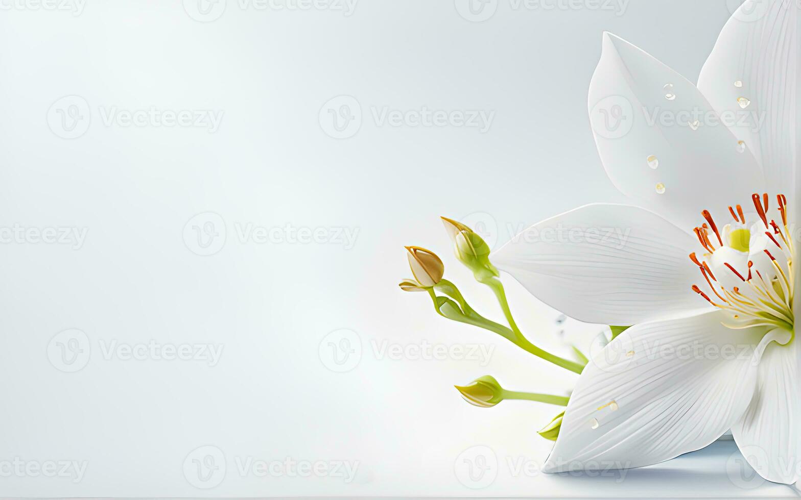 White Flowers paper texture on a White Background by Ai Generative photo