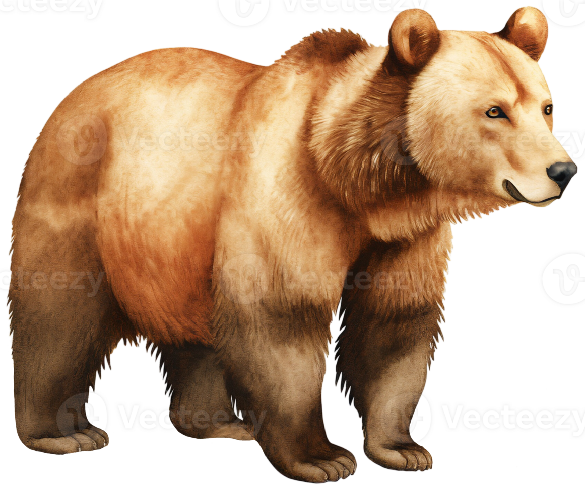 Brown bear. AI Generative png