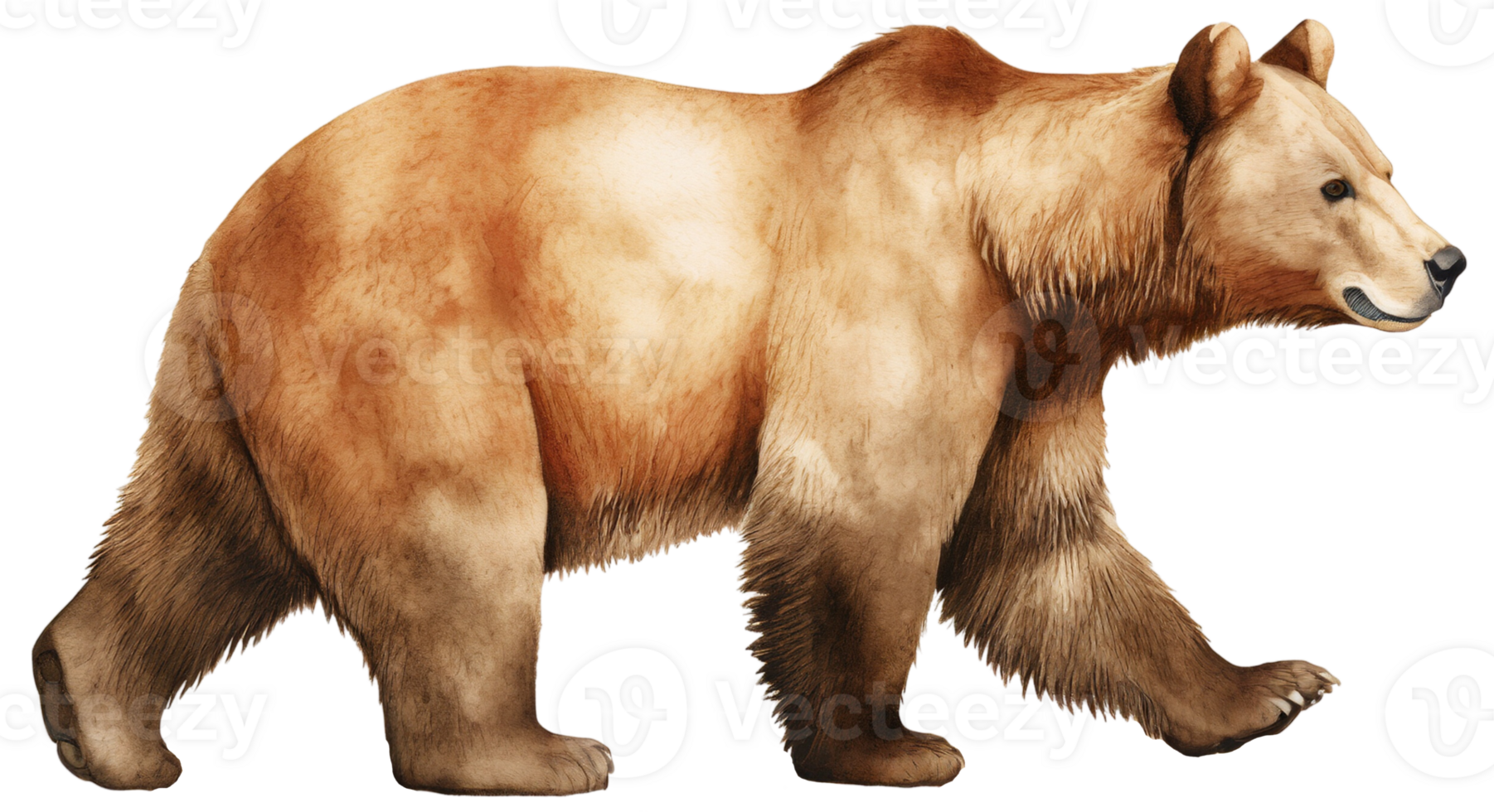 Brown bear. AI Generative png