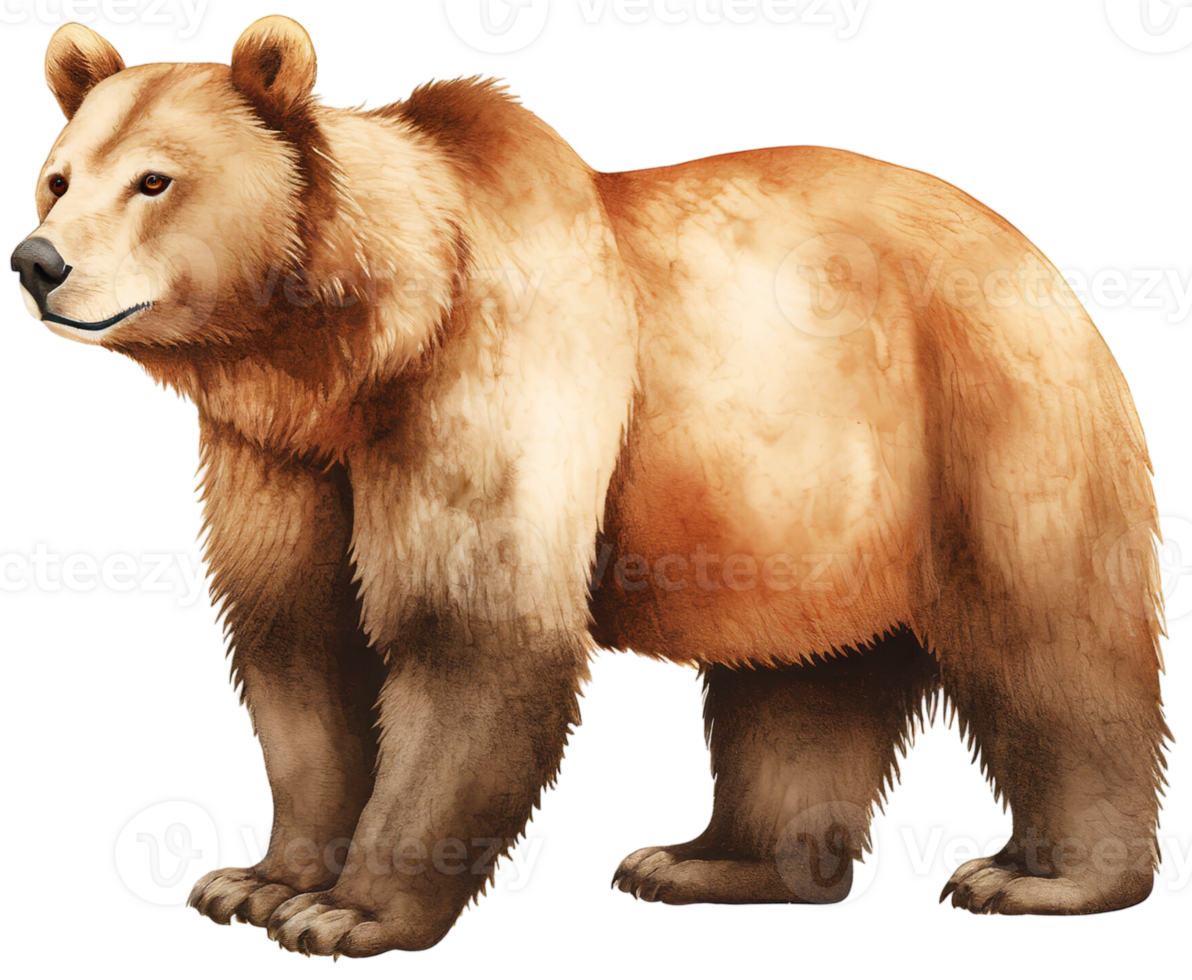 Brown bear. AI Generative png