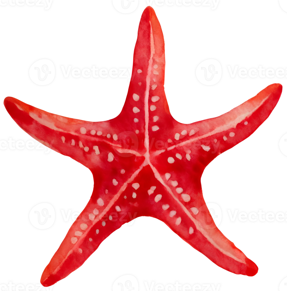 Starfish. AI Generative png