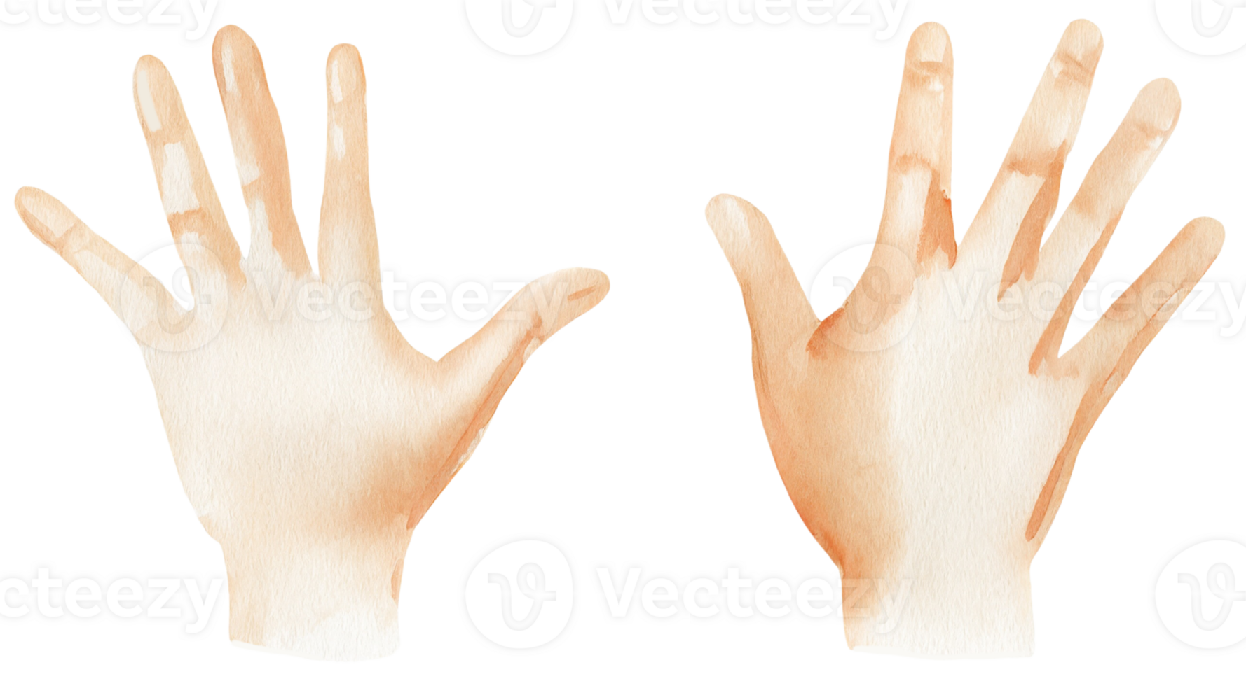 Hands. AI Generative png