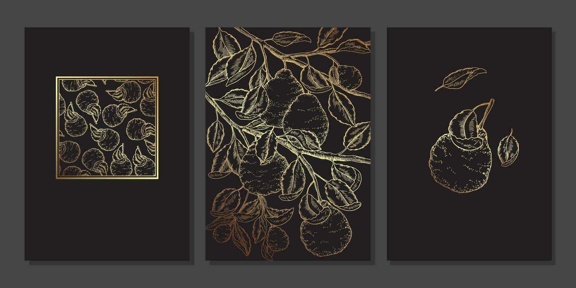Set of luxury gold wall art. Golden bergamot branches, leaves, tree. Gold citrus detailed illustration. Minimalist line art with kaffir lime on black background vector