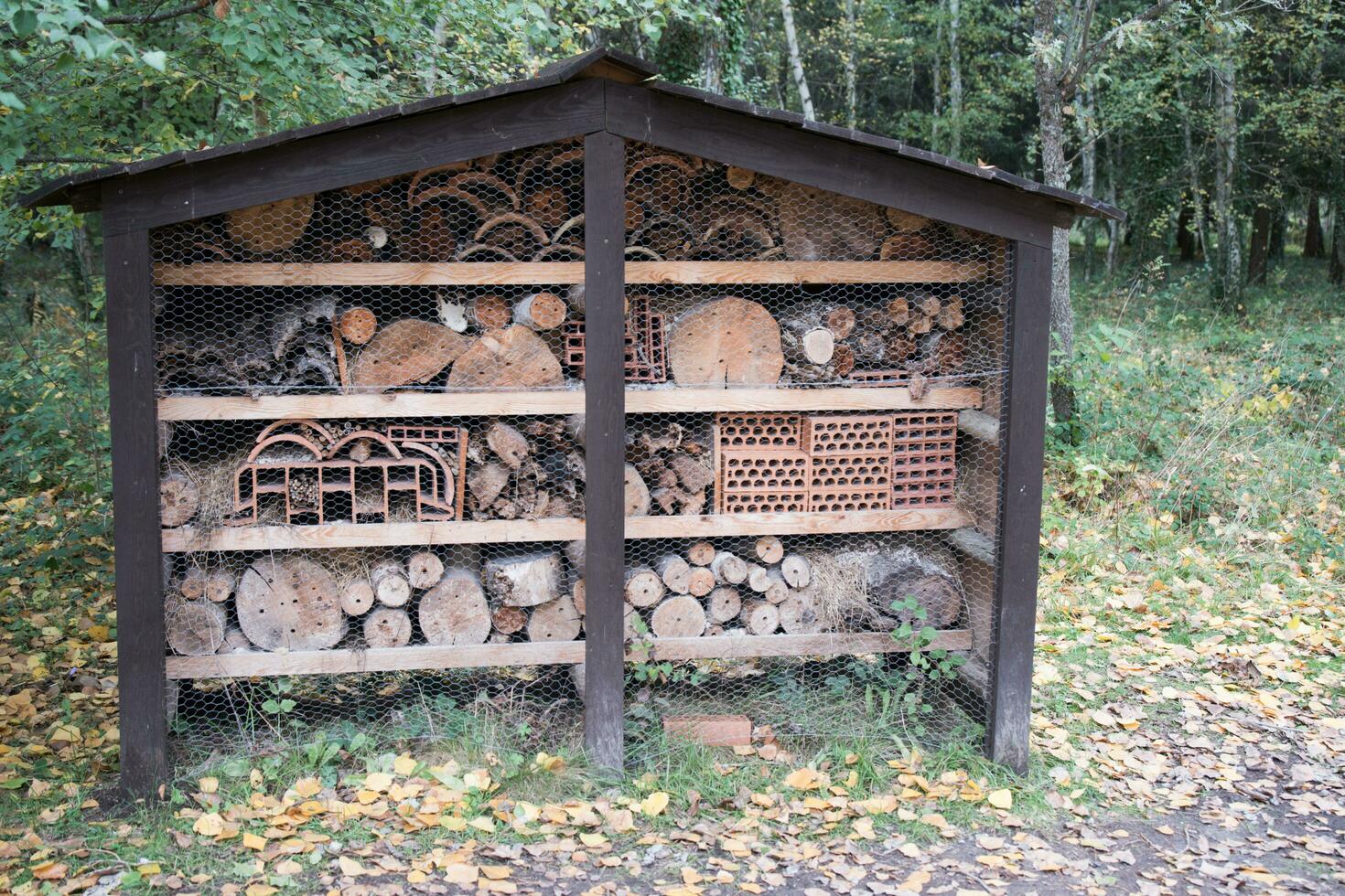 Insect hotel, to provide shelter for different types of insects photo