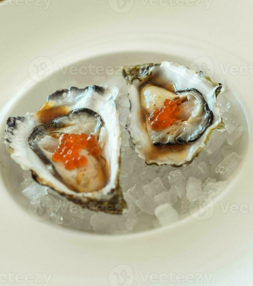 Gourmet portion of two oysters from the European Mediterranean photo