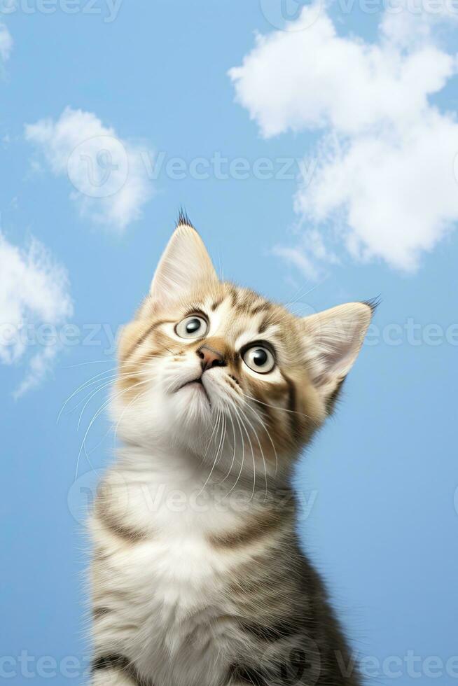 juguetón gracioso gatito mirando arriba,. ai generado. foto