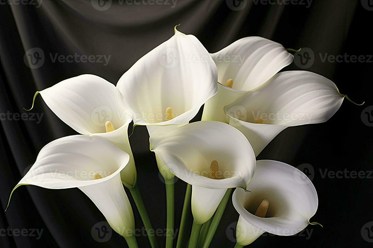 White wedding nature lily beauty blossom plant flower flora calla. AI Generated photo