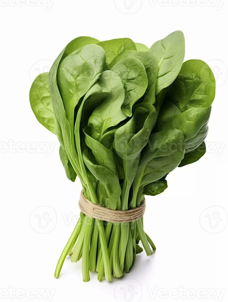 Bunch of spinach isolated on white background. AI Generated photo