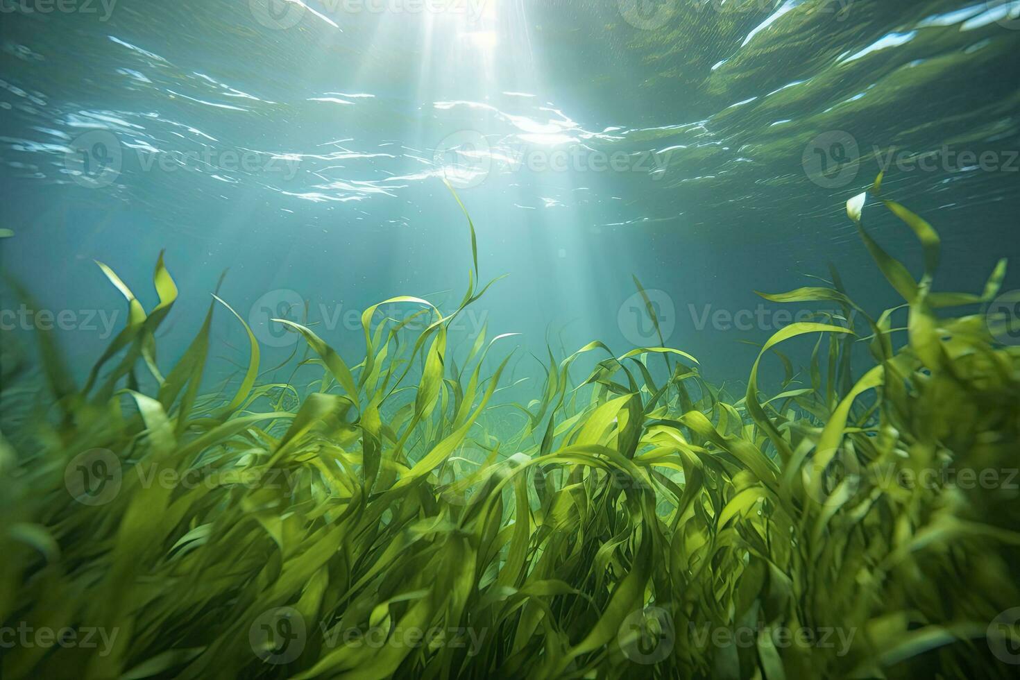 Underwater view of a group of seabed with green seagrass. AI Generated photo