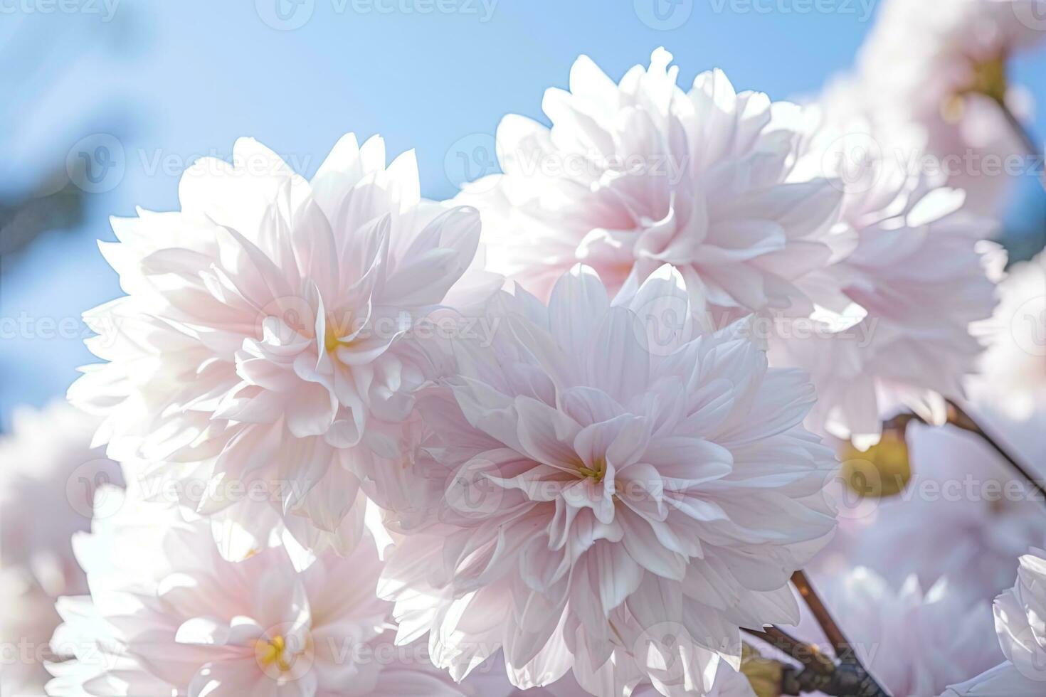 Pink Petals. AI Generated photo