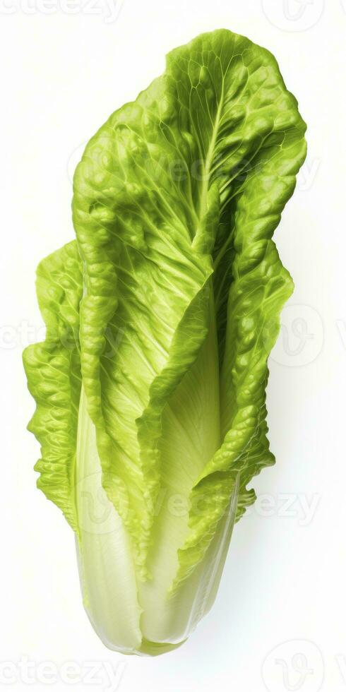 Lettuce isolated on white background. AI Generated photo