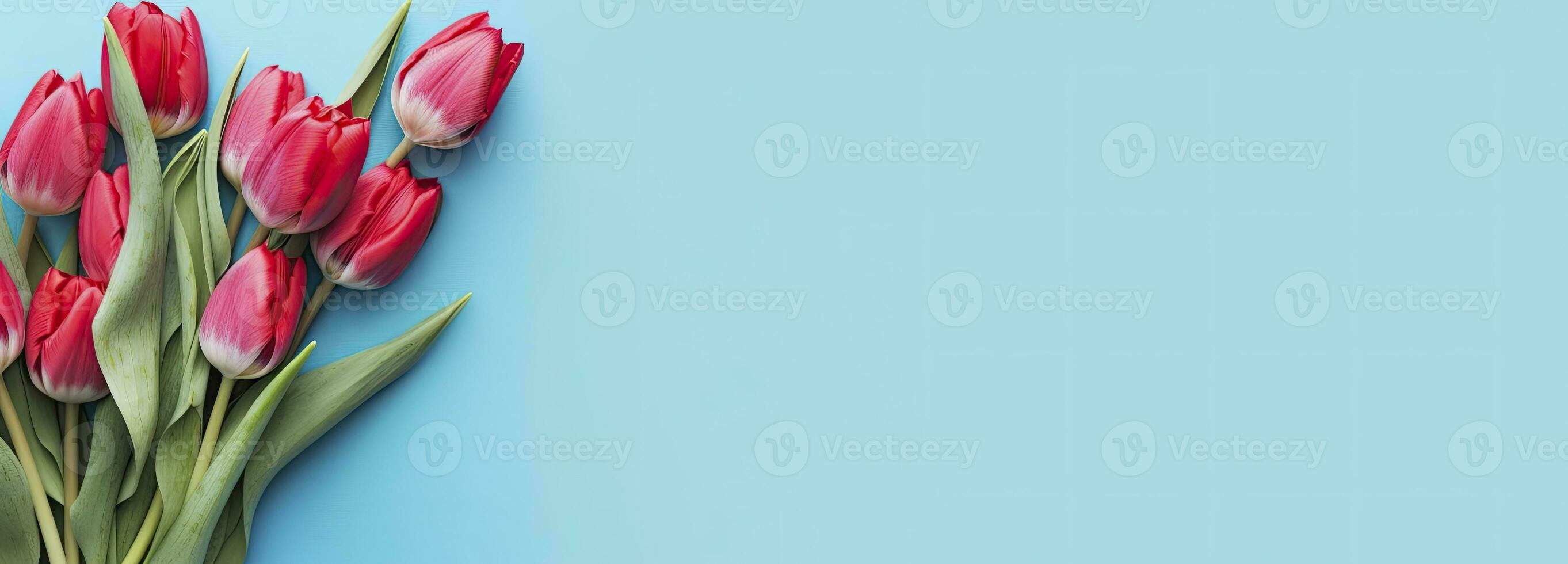 Bouquet of red tulip on blue Background. Top view with copy space.  AI Generated photo