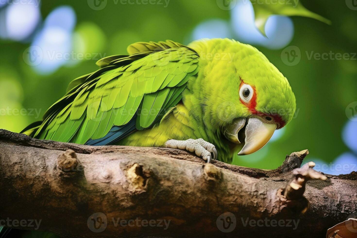 A green parrot on a branch. AI Generated photo